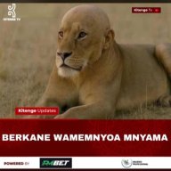 mboroo