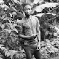 Abuu mujmal