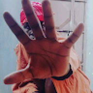 Wisemeek16