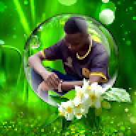 PIXAL1833